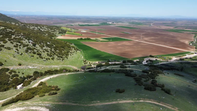 RemoteMediaFile_6553933_0_2022_04_11_12_19_58