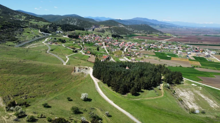 RemoteMediaFile_6553945_0_2022_04_11_12_23_36